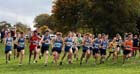 Start of the  fast pack senior mens North East Harrier League, Blaydon. Photo: David T. Hewitson/Sports for All Pics